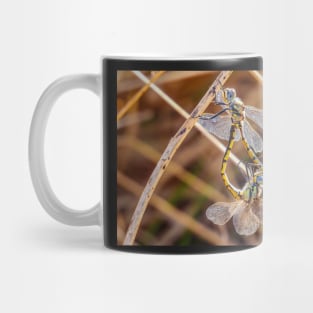 Two Dragonflies Mug